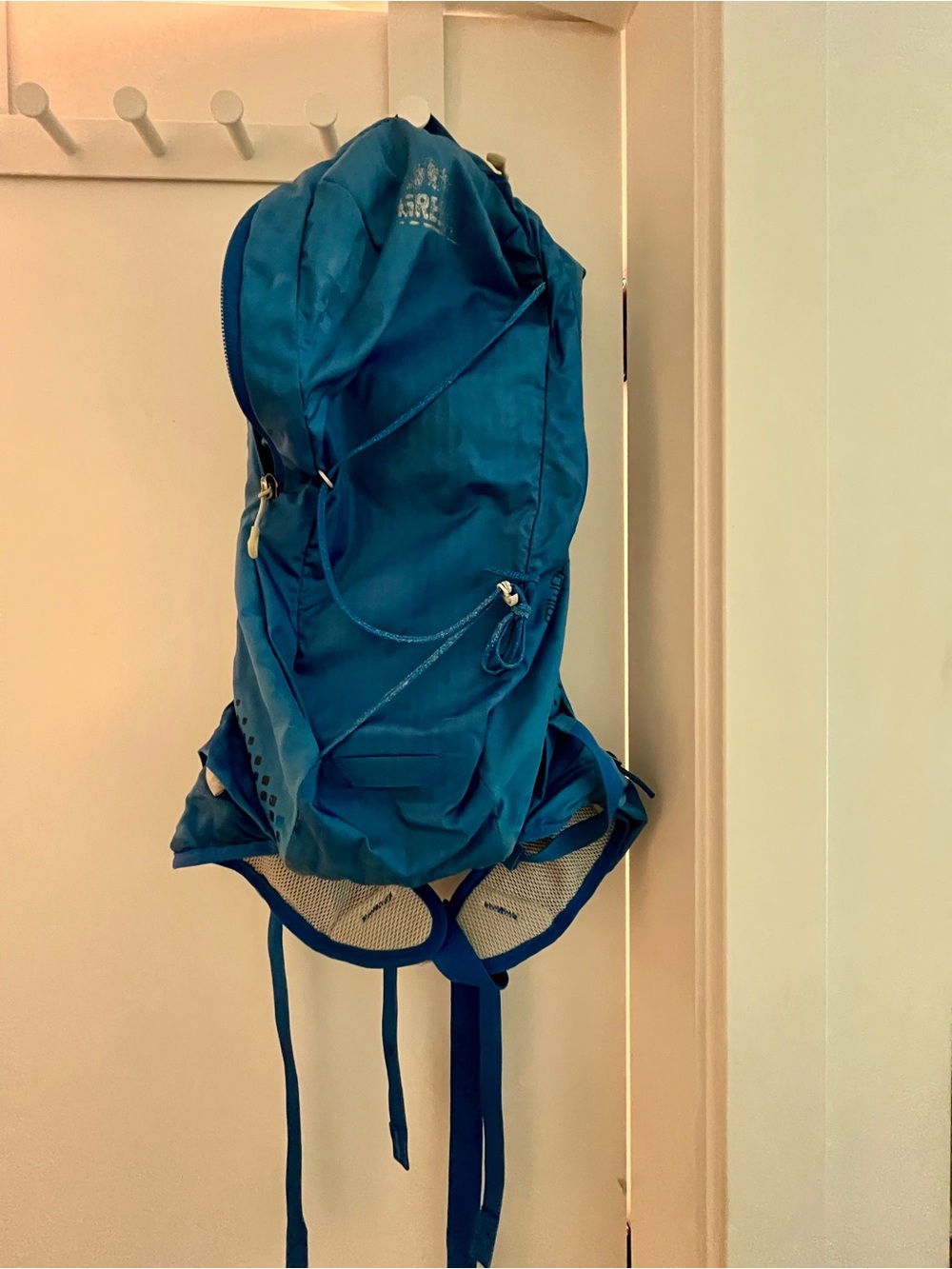 Gregory Blue Daypack Miwok 6